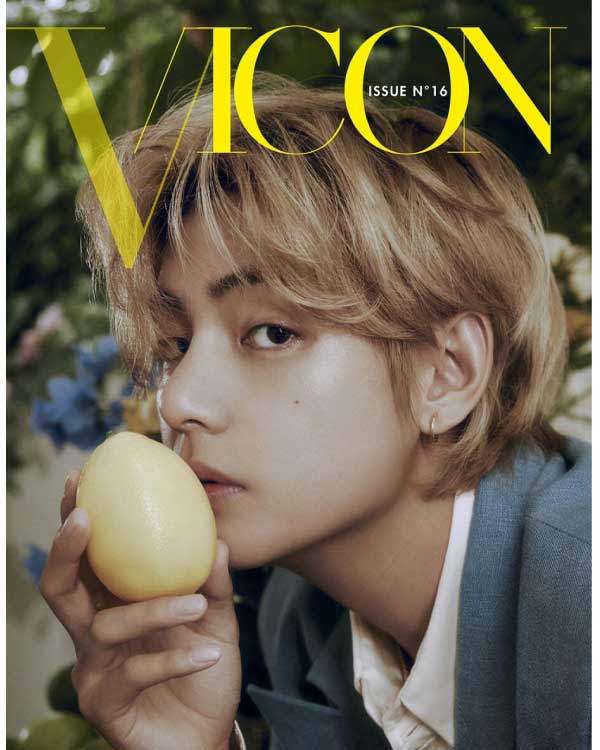 DICON ISSUE N°16 V : VICON A -TYPE Photobook - Kpop Wholesale | Seoufly