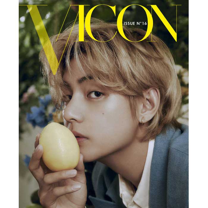 DICON ISSUE N°16 V : VICON A -TYPE Photobook - Kpop Wholesale | Seoufly