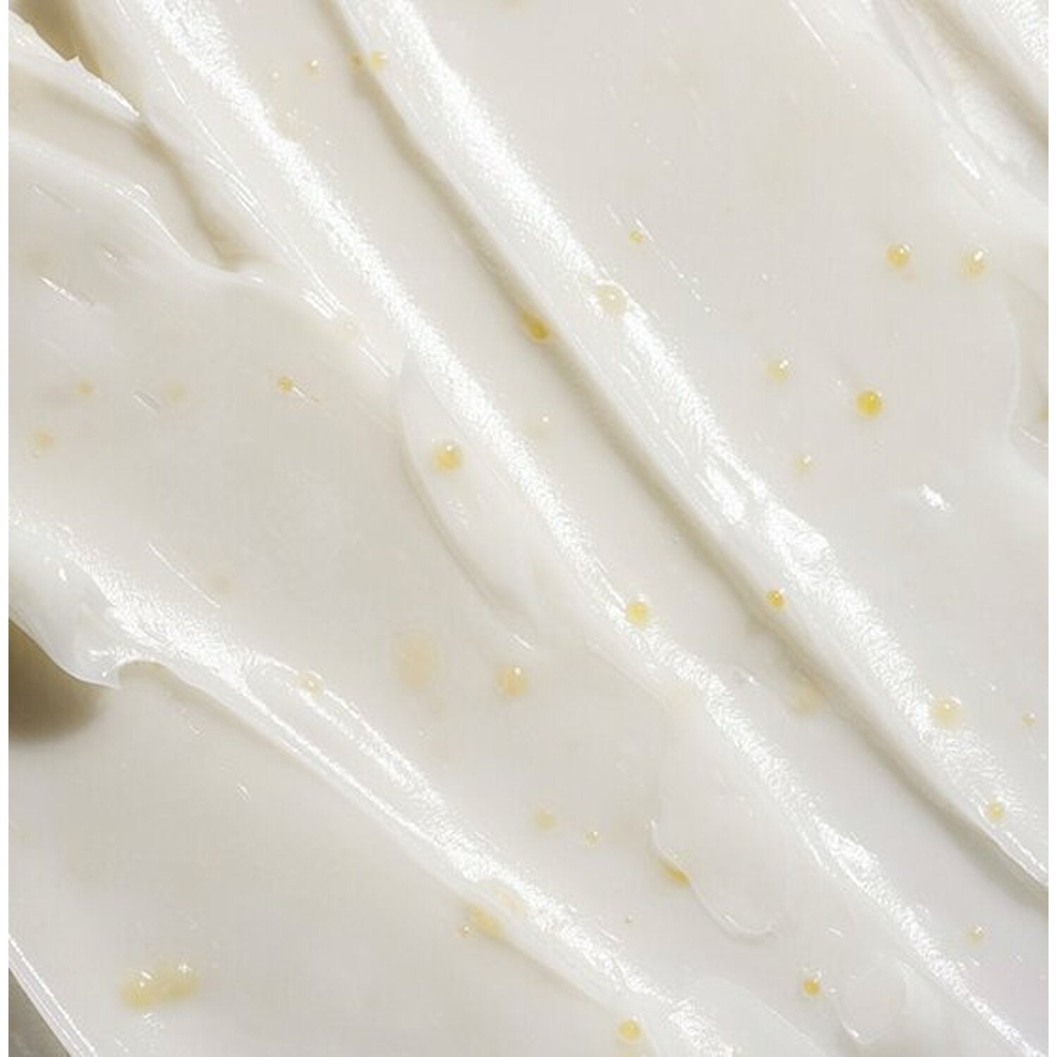 numbuzin No. 5 Daily Multi-Vitamin Cream 60mL - Kpop Wholesale | Seoufly