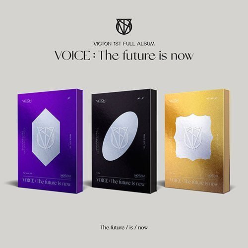 VICTON - VOICE : The future is now [1ST ALBUM] Kpop Album - Kpop Wholesale | Seoufly