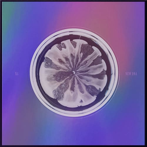 XG - 1ST MINI ALBUM [NEW DNA] Kpop Album - Kpop Wholesale | Seoufly