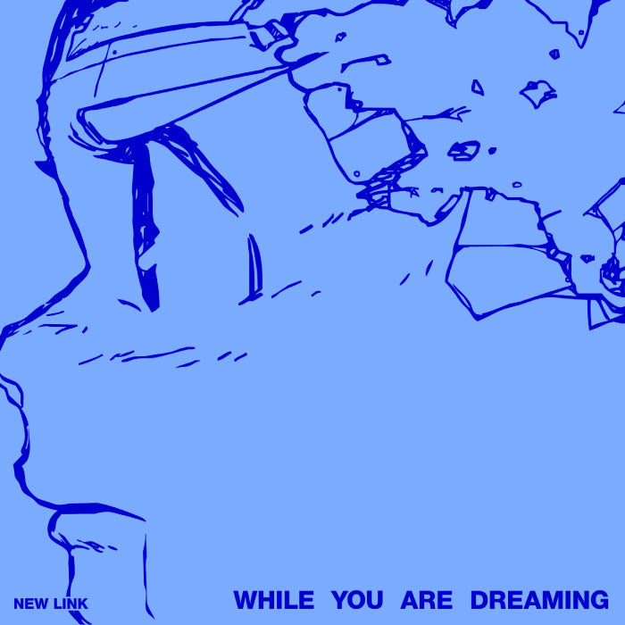 New Link - [While You Are Dreaming]